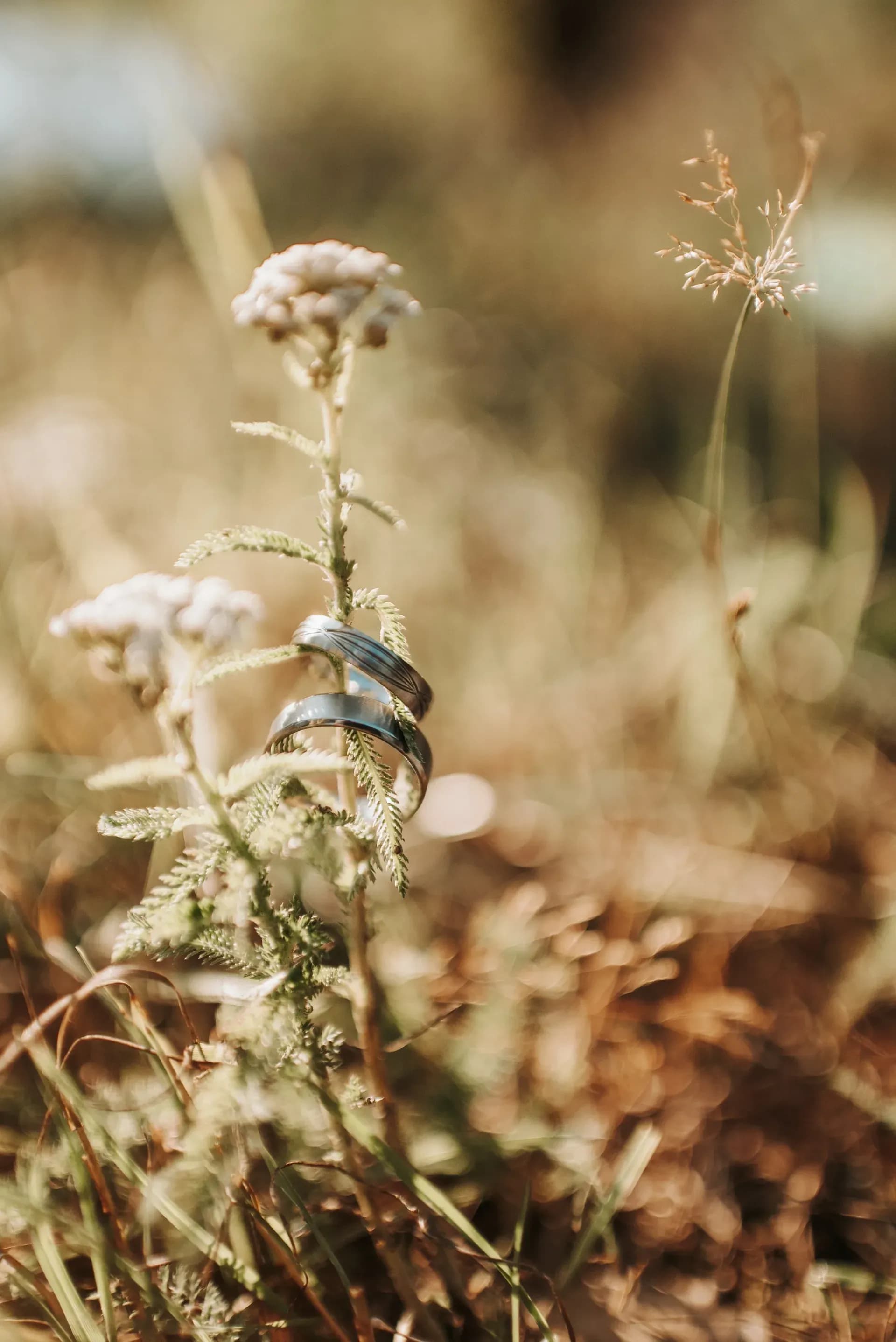 Svatební fotografie